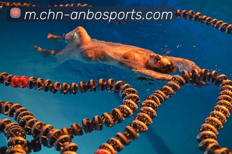 体育下注平台生态图